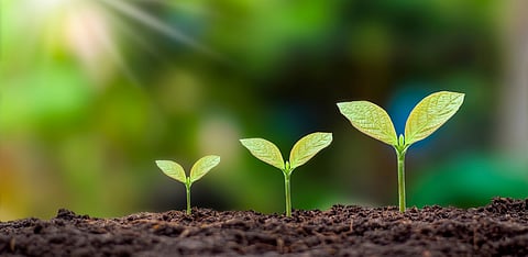 Has the time come for a dedicated Indian Environment Services within the civil services?