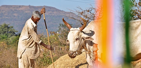 Representative Image Only