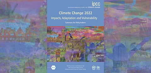 Unpacking the second IPCC report: pathways to catching the narrow window of opportunity for climate action