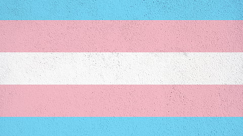 International Transgender Day of Visibility and its significance for India