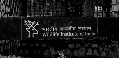 MoEFCC’s direction to Wildlife Institute of India not to make its research results public without clearance may well mar its autonomy