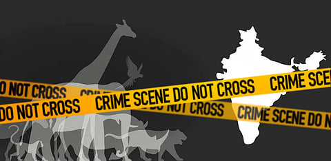 The draconian face of Wildlife Protection Act, 1972