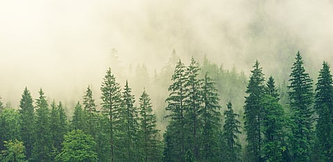 India needs to rethink its environmental priorities