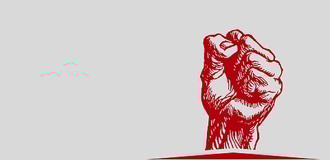 Representative Image Only