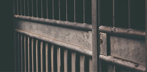 Representative Image Only