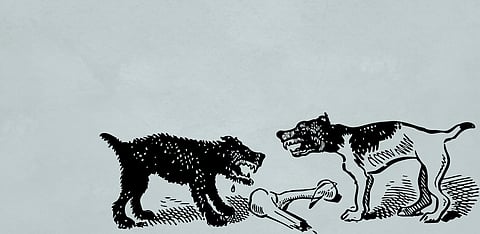 Representative Image Only