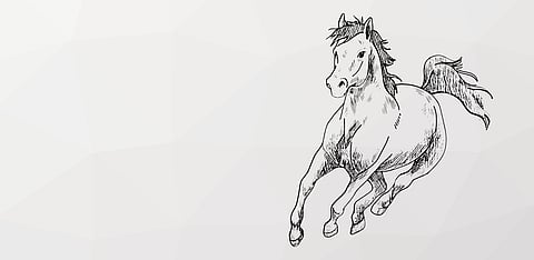 Representative Image Only