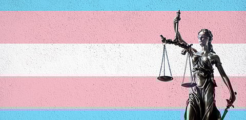 Representative Image Only