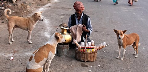 Source: Smithsonian Magazine