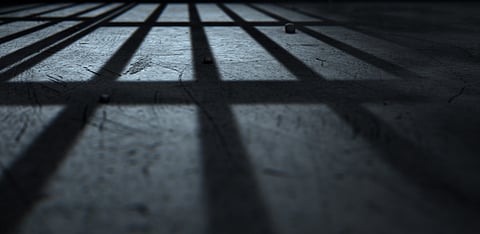 Representative Image Only