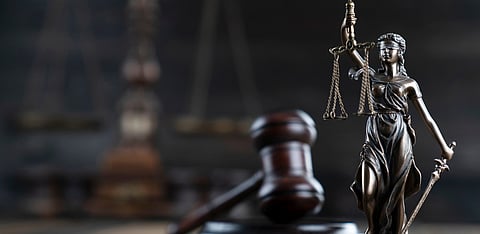 Representative Image Only