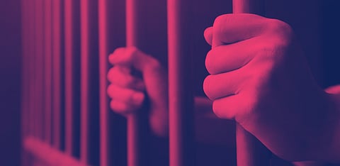 Representative Image Only