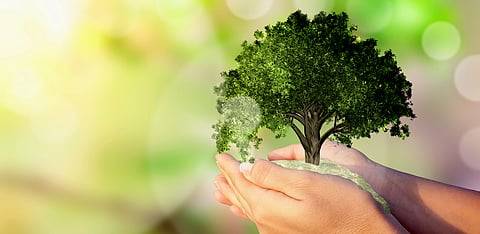 Representative Image Only