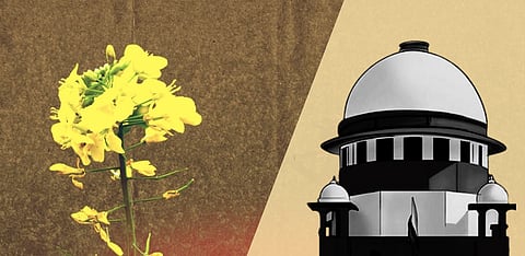 Supreme Court mulls over GM mustard and its many implications, and the need for a precautionary approach