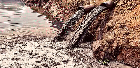 Representative Image Only