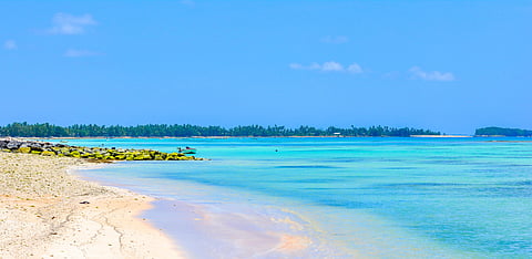 Representative Image Only