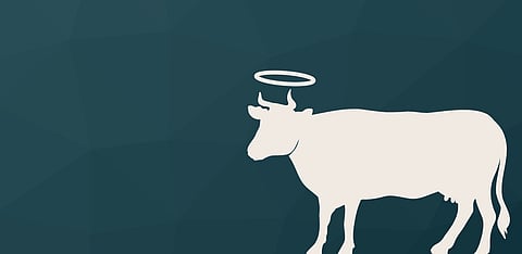 Representative Image Only