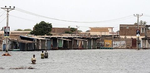 Representative Image Only