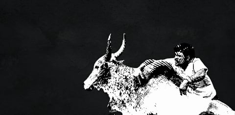 Representative Image Only