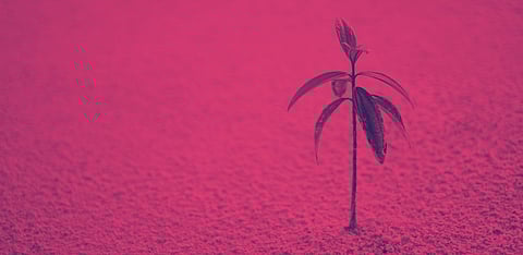 Representative Image Only