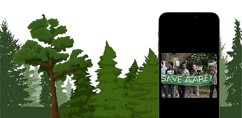 Representative Image Only