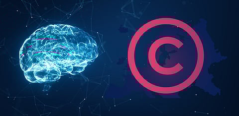 Representative Image Only