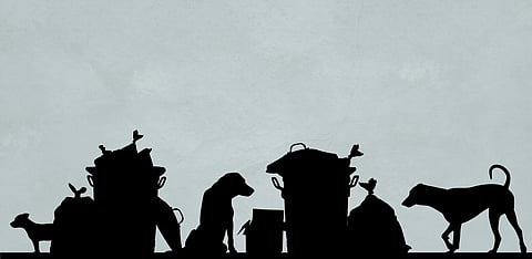 Representative Image Only