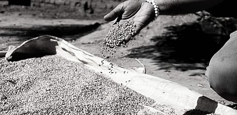 From Jharkhand, a timely reality check on the implementation of the National Food Security Act