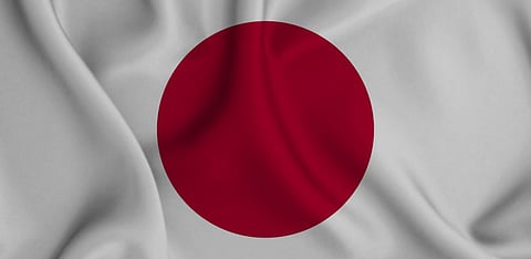 Representative Image Only