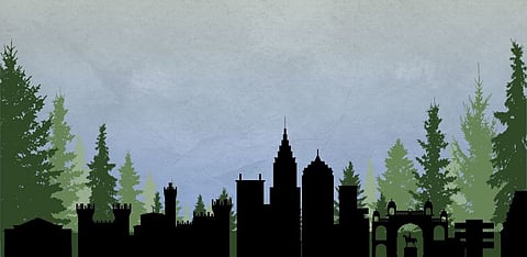 Representative Image Only