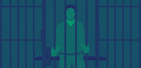 Representative Image Only