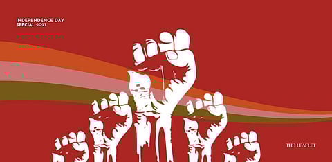 Representative Image Only