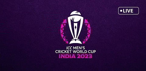 Representative Image Only