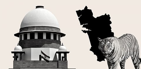 Cotigao–Mhadei tiger reserve: Supreme Court issues notice to Goa Foundation