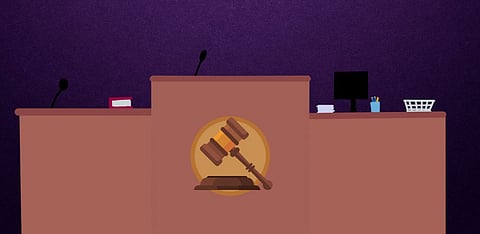 Representative Image Only