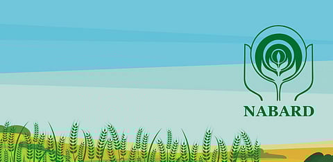 Representative Image Only