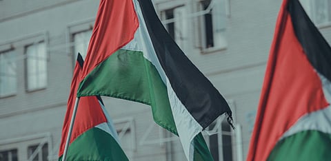 Representative Image Only