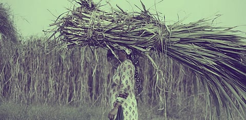 Representative Image Only