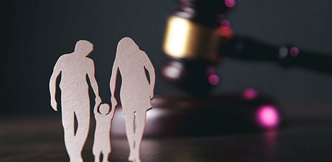 Representative Image Only