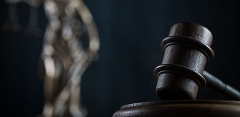 A tale of two friends: How performance audit complements judicial review