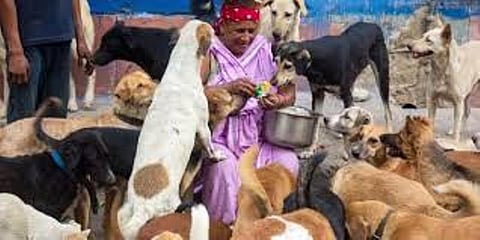 प्रतिमा देवी