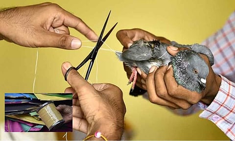 लहू से रंगी पतंगें, दर्द से बंधी डोर !