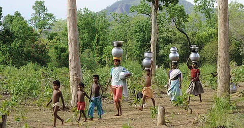 कोरबंग आदिवासी विलुप्ति के कगार पर!