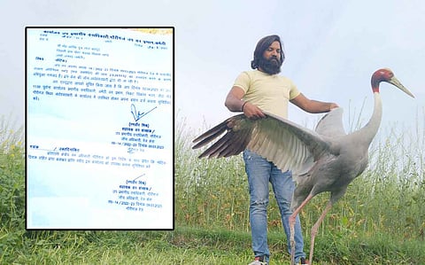 फॉलोअप: सारस को रखने पर आरिफ के खिलाफ वन्यजीव अधिनियम के तहत मुकदमा दर्ज