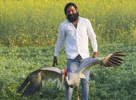 यूपी: आरिफ के दोस्त सारस को पक्षी विहार के म्यूजियम में किया गया कैद!