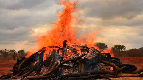 राजस्थान: खाजूवाला रेप पीड़िता के शव का चार दिन बाद अंतिम संस्कार