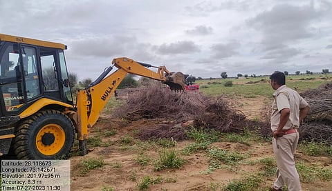 वन विभाग की टीम जेसबी से लकड़ी एकत्रित करते हुए