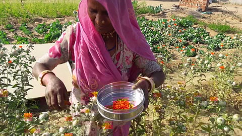 सांकेतिक तस्वीर