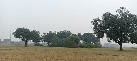 राजस्थान: आसमान से बरसा अमृत...मावठ से खेतों में आई नमी, किसानों में खुशी