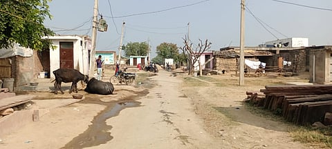 सवाईमाधोपुर विधानसभा क्षेत्र मानोली बैरवा बस्ती, राजस्थान